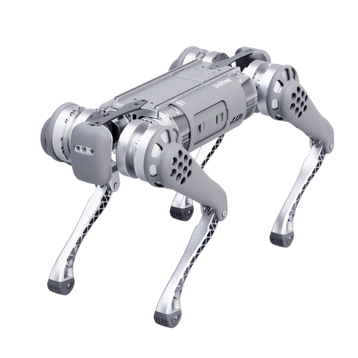B1 — image 2