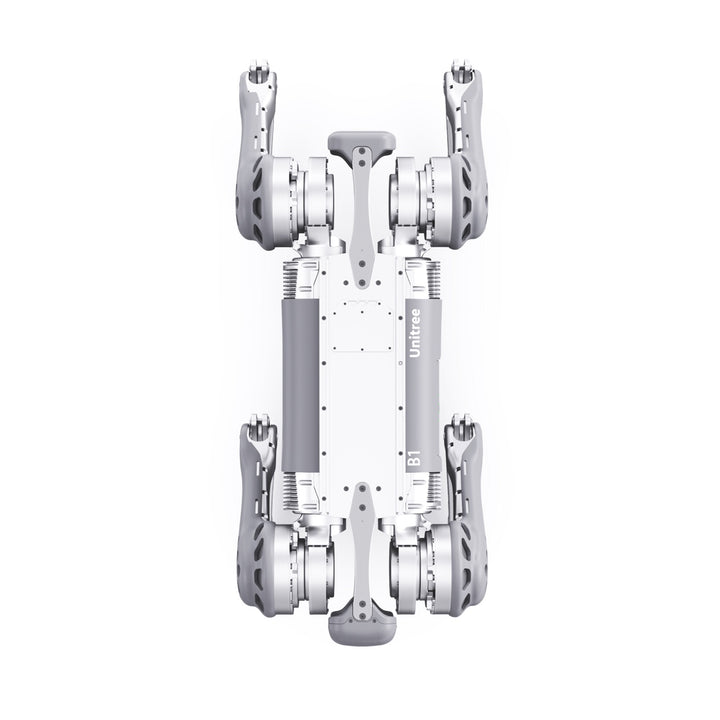 B1 — image 5