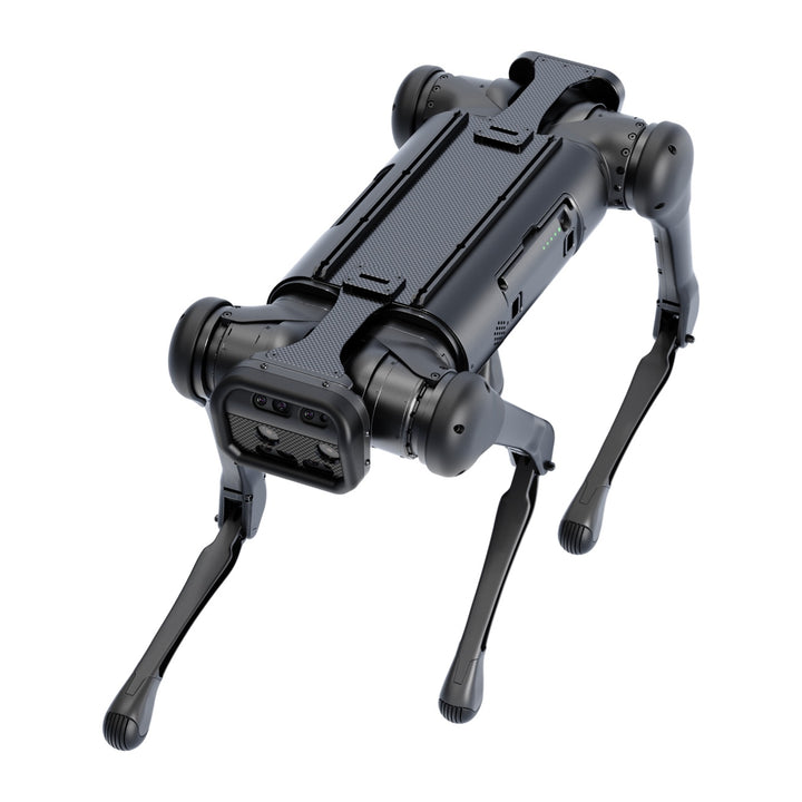 Aliengo — image 2