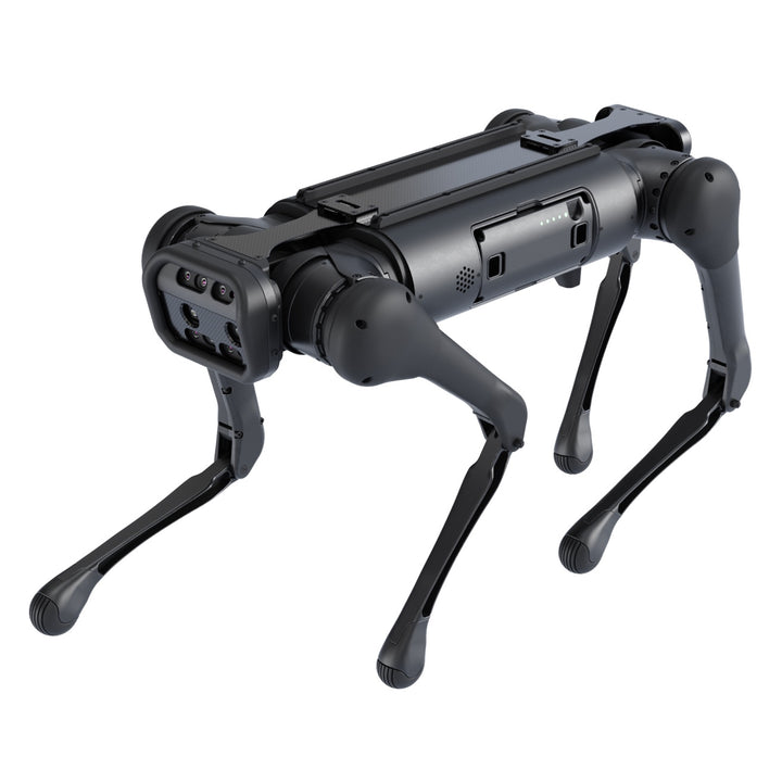 Aliengo — image 3