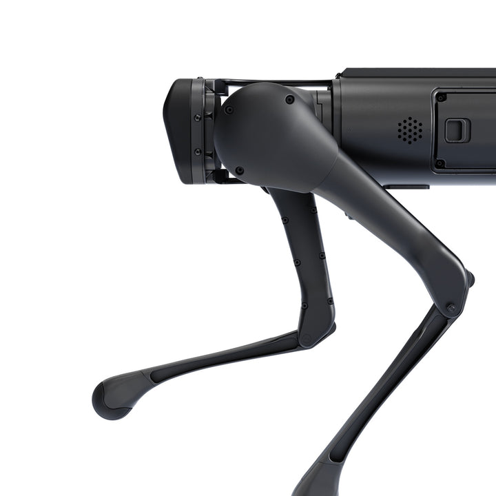 Aliengo — image 4